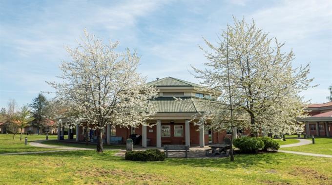 Exterior of Forensic Psychiatric Hospital with blossom trees