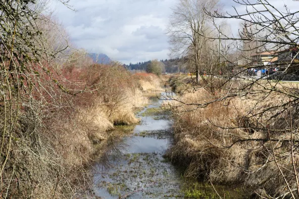 Creek running through grasslands