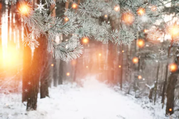 Winter holiday scene