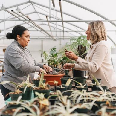 Two women working together in a greenhouse, planting and tending to various potted plants.